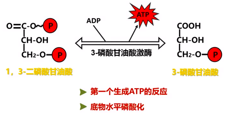 图片alt