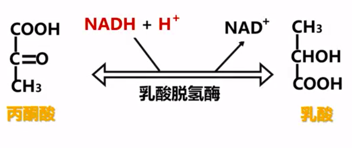 图片alt