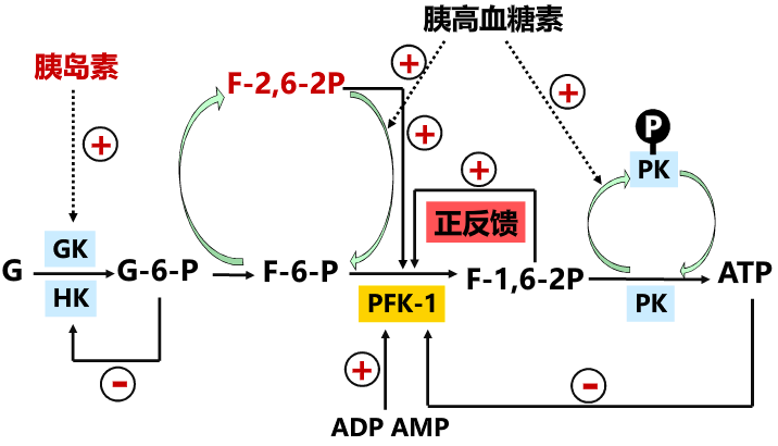 图片alt