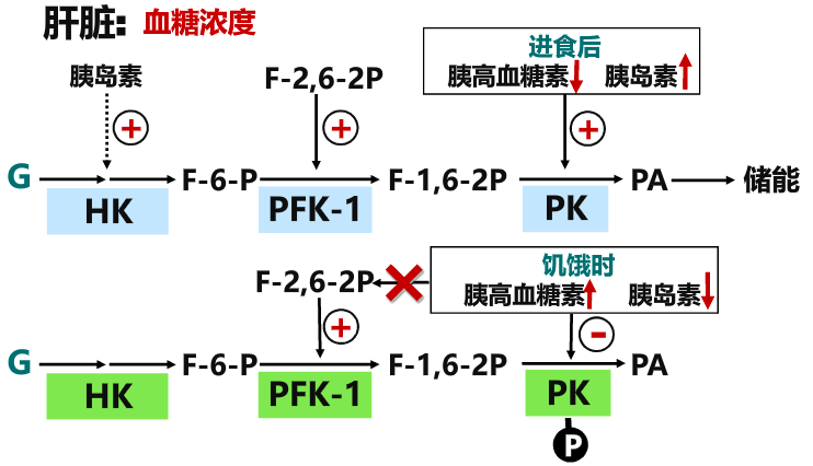 图片alt