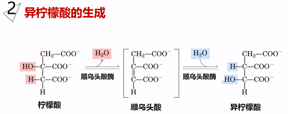 图片alt