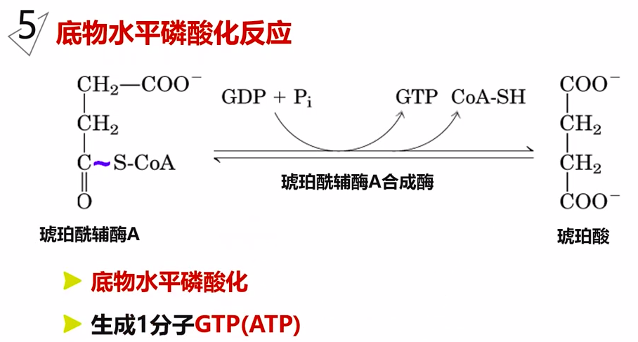 图片alt