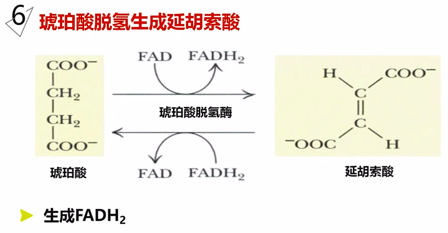 图片alt