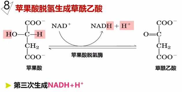 图片alt