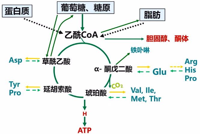 图片alt