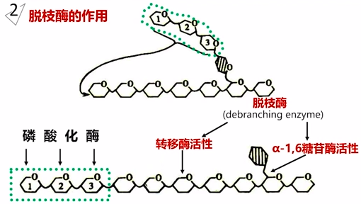 图片alt