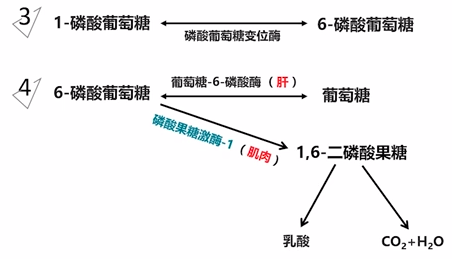 图片alt