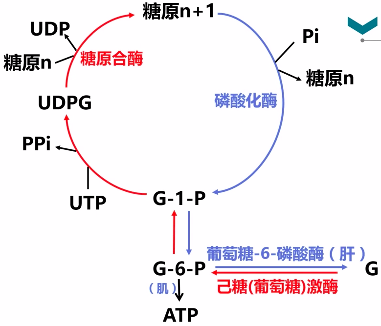 图片alt