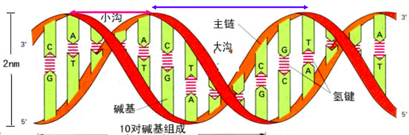 图片alt