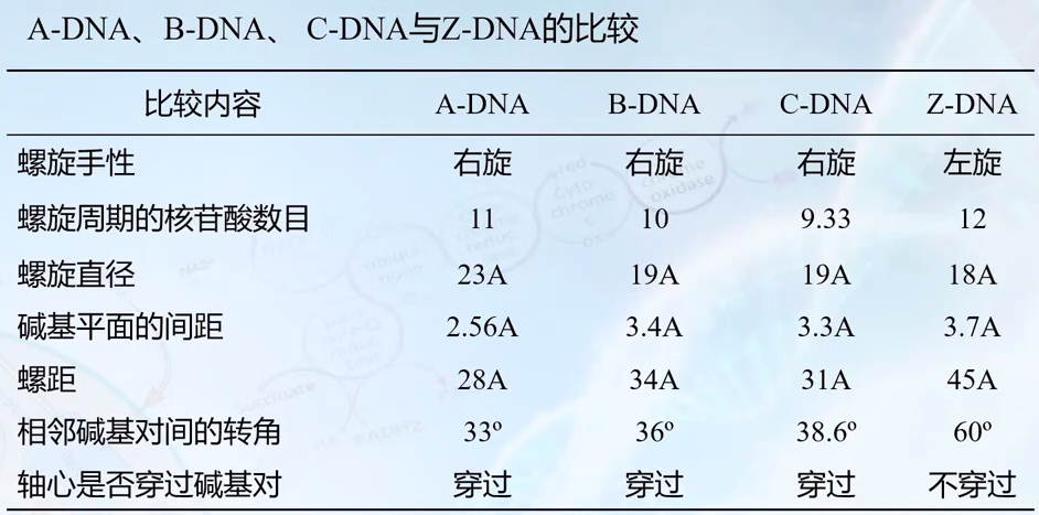 图片alt