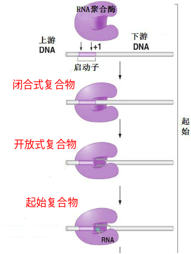 图片alt