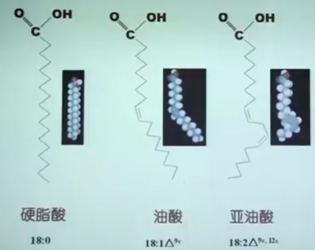 图片alt