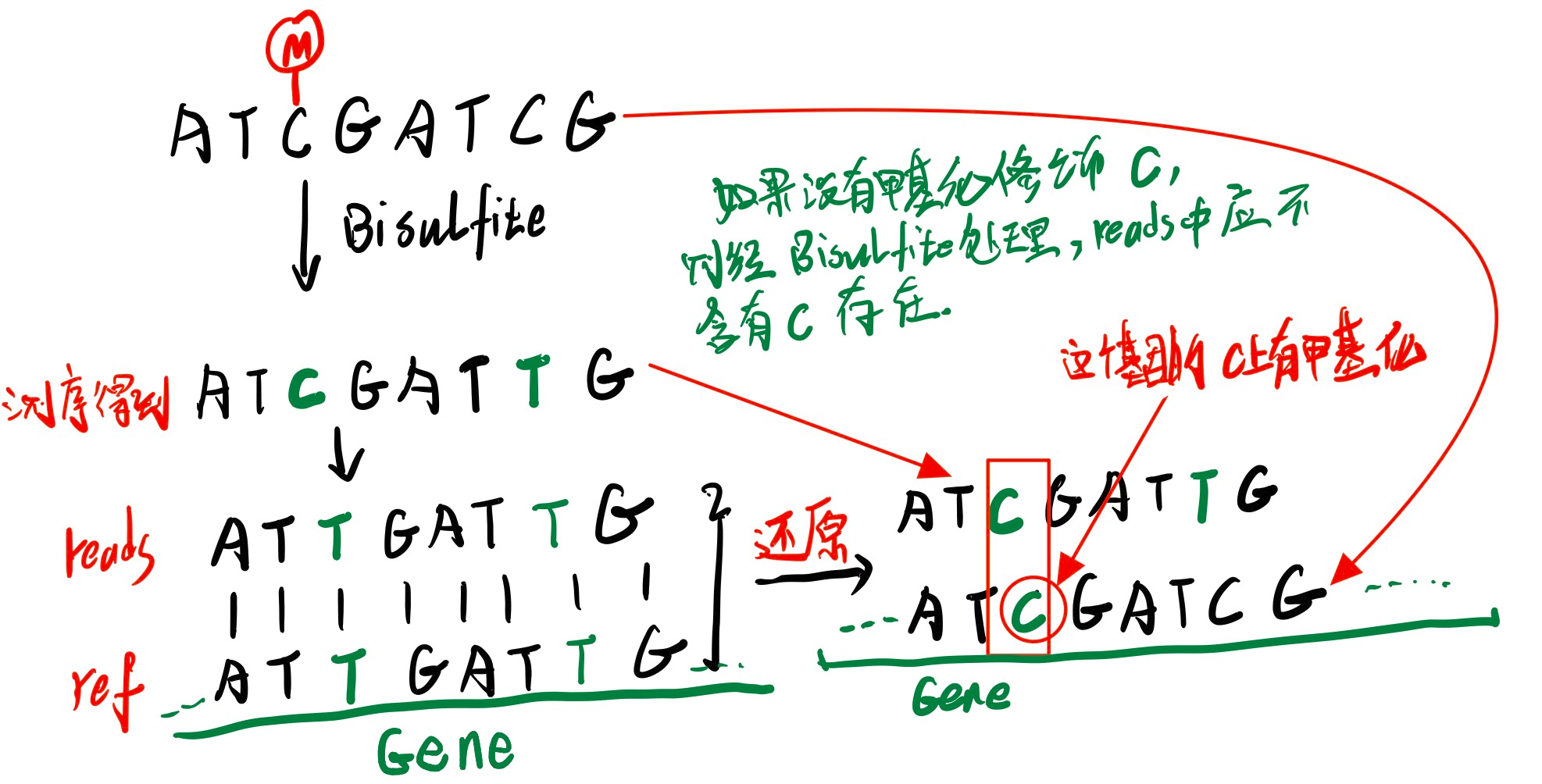 图片alt