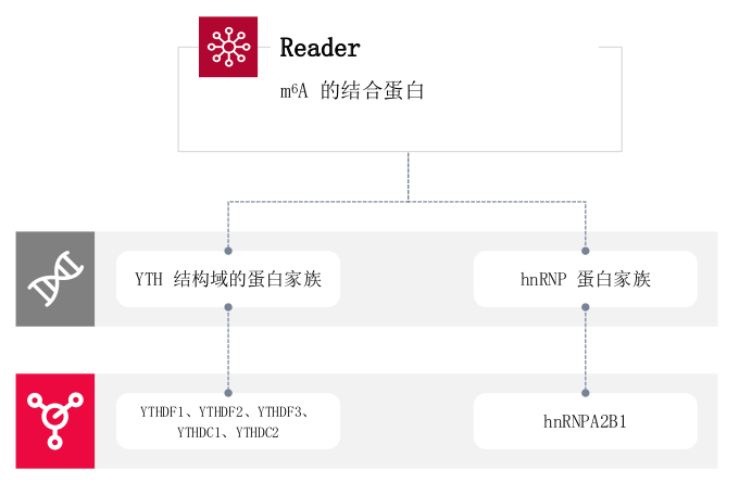 图片alt