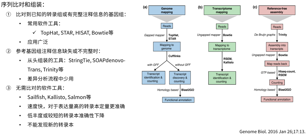 图片alt