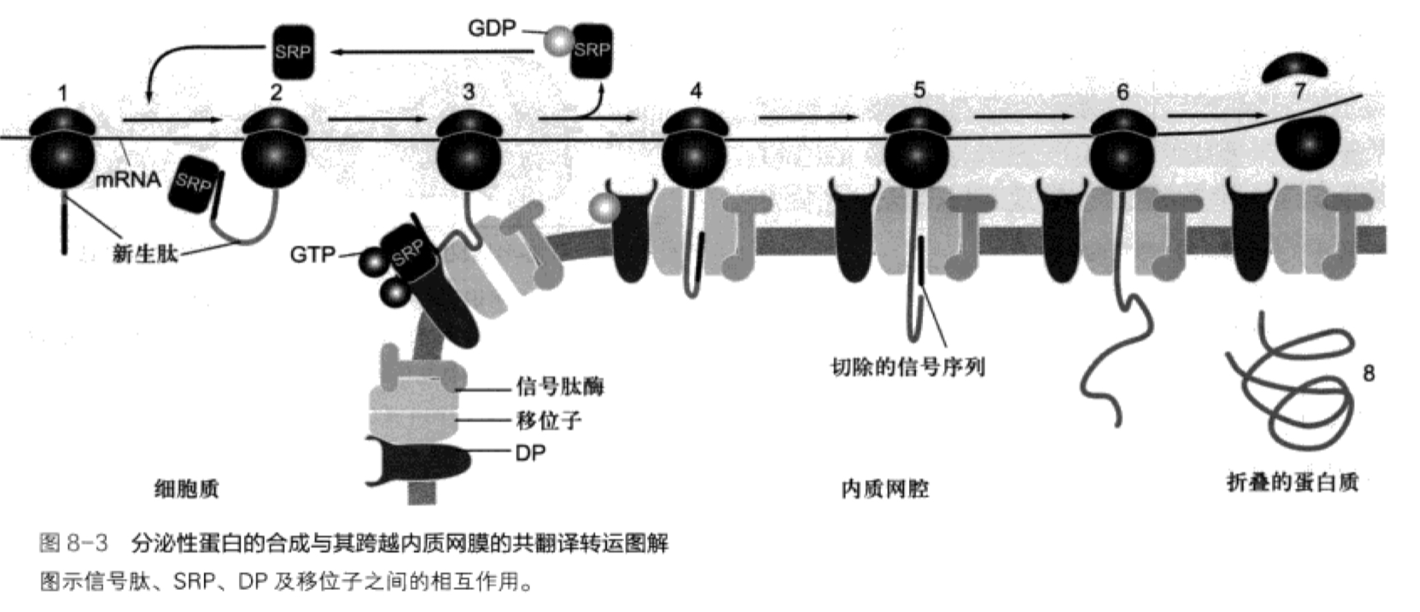 图片alt