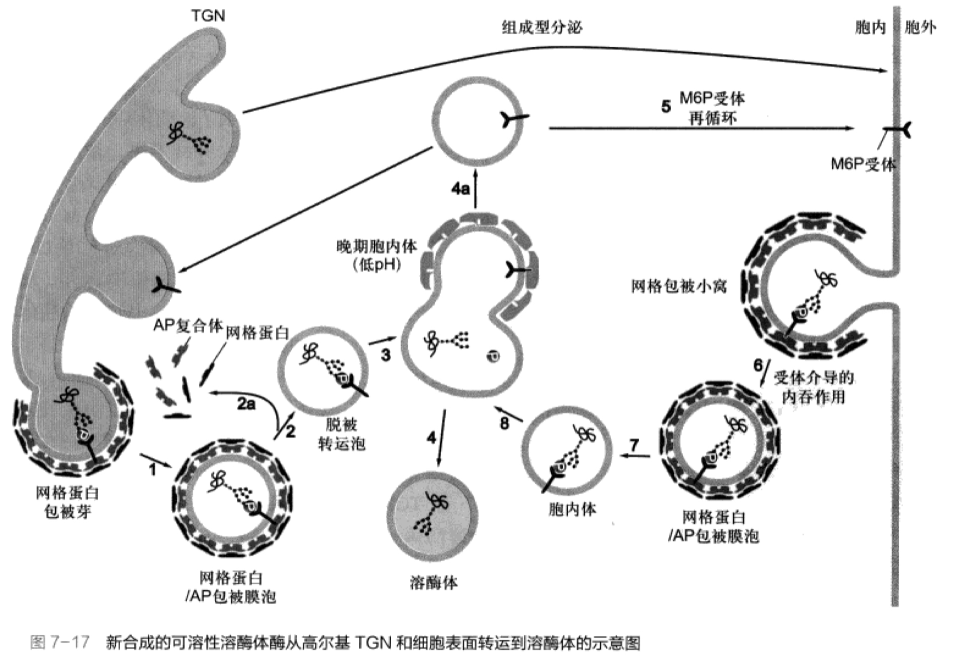 图片alt