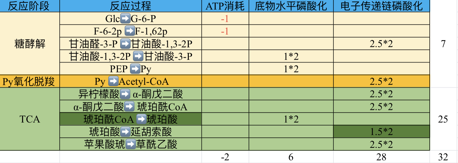 三羧酸循环能量计算