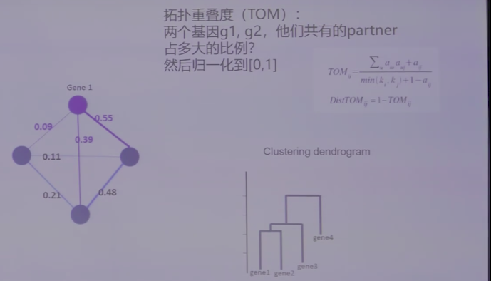 图片alt