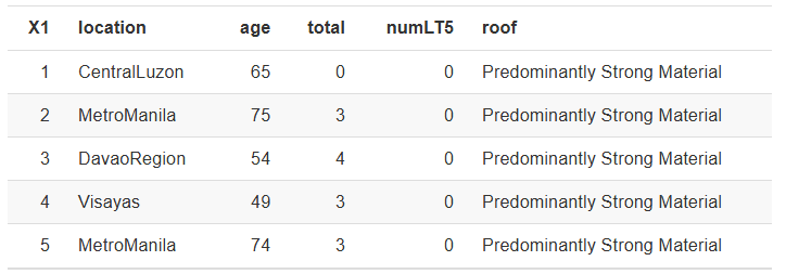 菲律宾家庭案例研究的前五个观察结果。