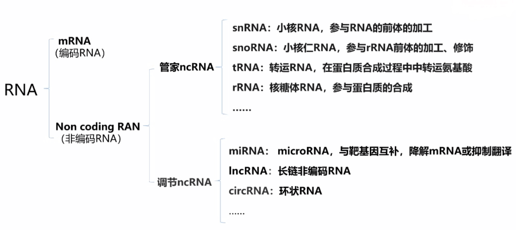 microRNA分类